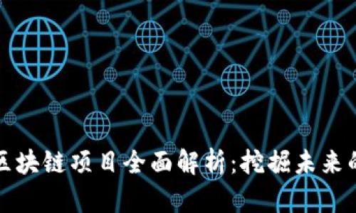 定南正规区块链项目全面解析:挖掘未来的无数可能