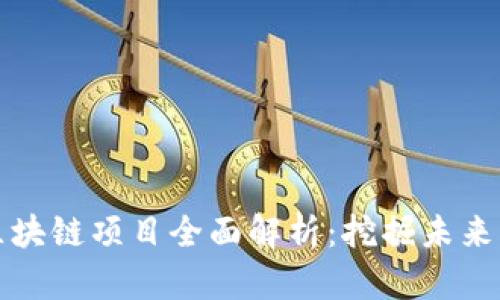 定南正规区块链项目全面解析:挖掘未来的无数可能