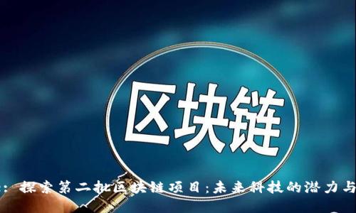 Title: 探索第二批区块链项目:未来科技的潜力与发展