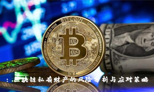 : 区块链私有财产的风险分析与应对策略