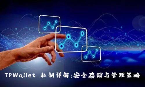 TPWallet 私钥详解：安全存储与管理策略