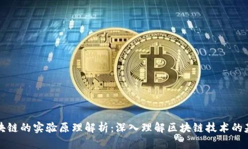 区块链的实验原理解析：深入理解区块链技术的基础