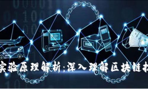 区块链的实验原理解析：深入理解区块链技术的基础