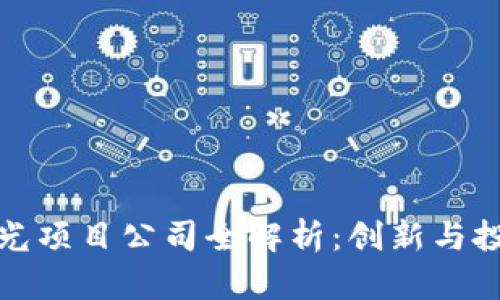 区块链极光项目公司全解析:创新与投资新机遇