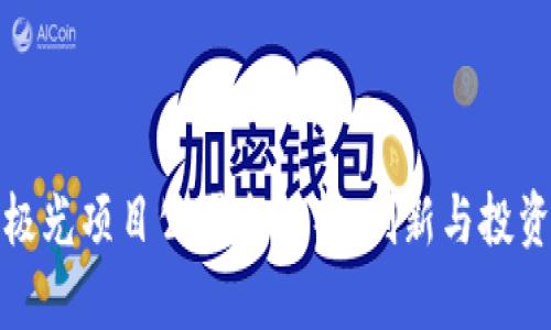 区块链极光项目公司全解析:创新与投资新机遇