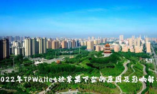 2022年TPWallet被苹果下架的原因及影响解析