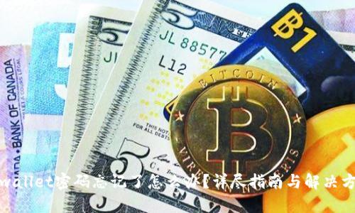 tpwallet密码忘记了怎么办?详尽指南与解决方案