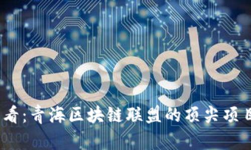 2025必看：青海区块链联盟的顶尖项目大揭秘