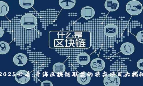 2025必看：青海区块链联盟的顶尖项目大揭秘