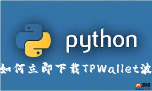 2025必看:如何立即下载TPWallet波场视频教程