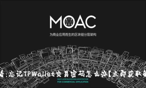 2025必看：忘记TPWallet交易密码怎么办？立即获取解决方案！