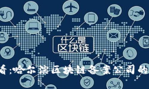 2025必看：哈尔滨区块链备案公司的全面解析