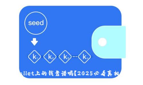 tpwallet上的钱靠谱吗?2025必看真相分析!